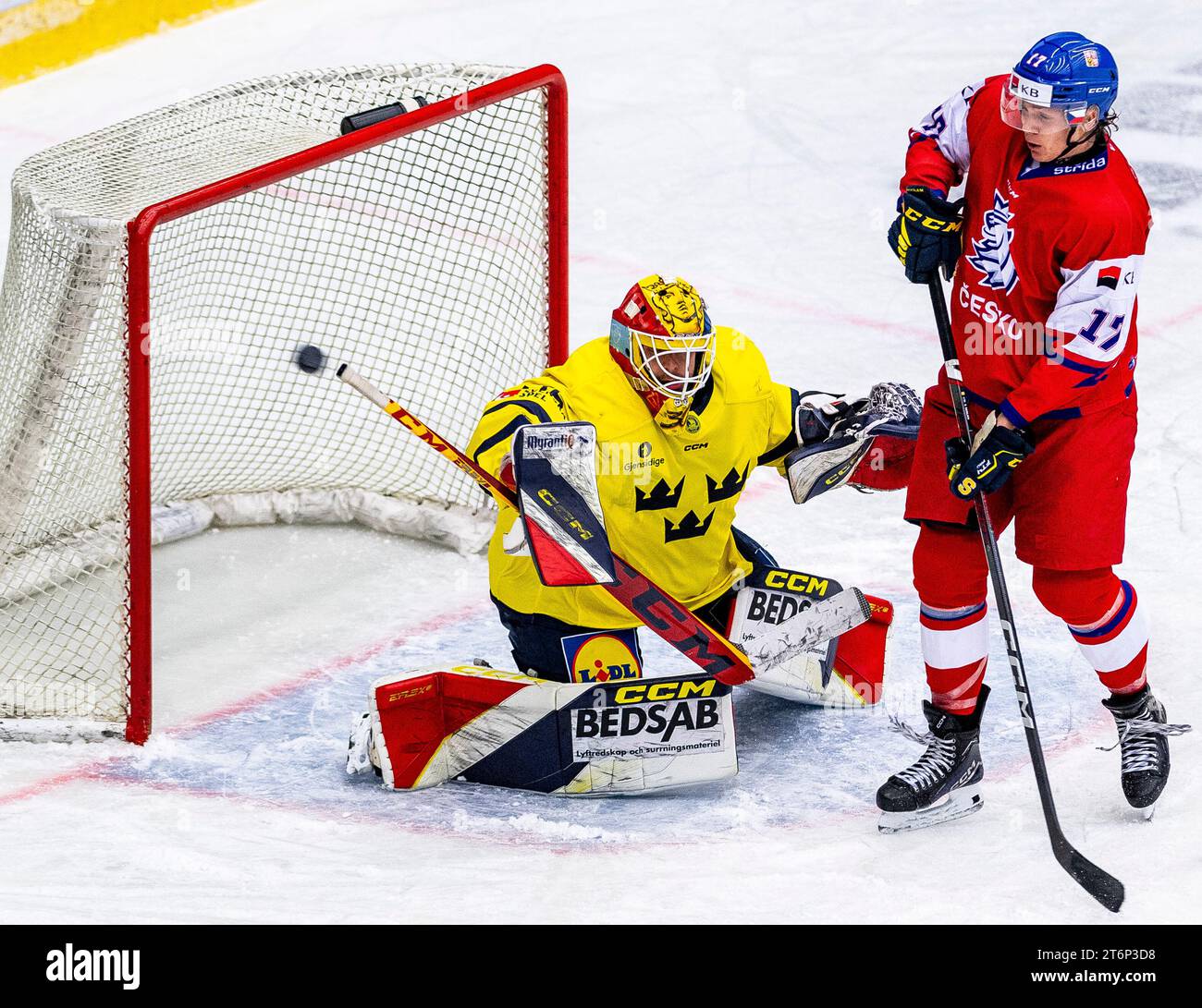 From left Hugo Havelid, goalie of Sweden and Czech Sebastian Redlich in