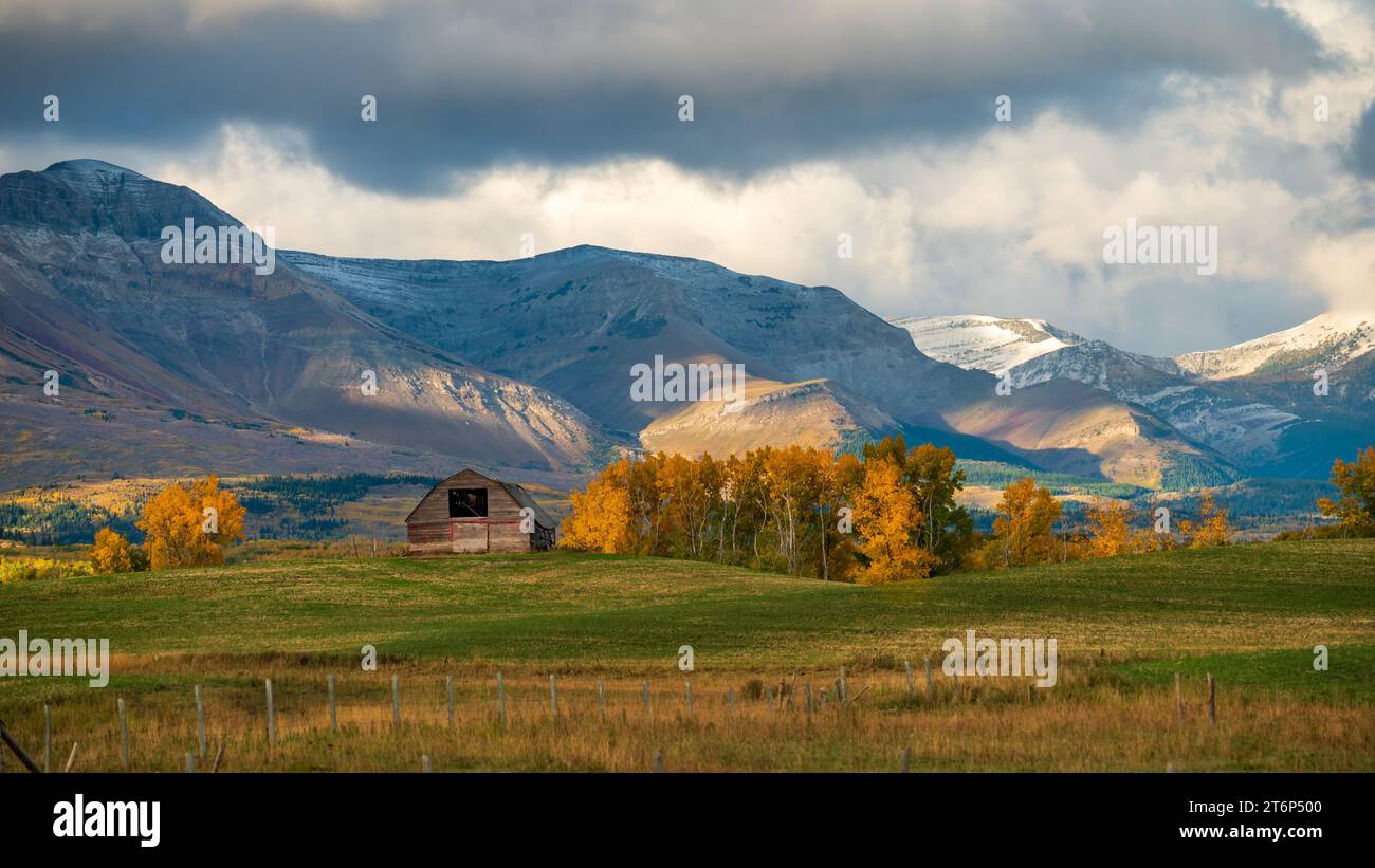 A farm barn and fall foliage color near Mountain View, Alberta, Canada