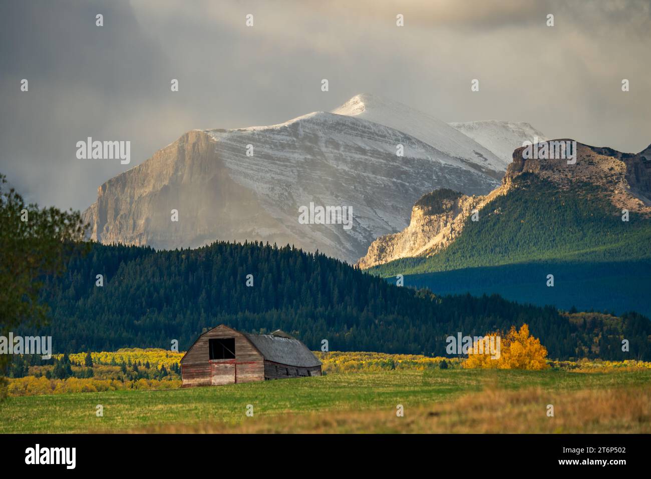 A farm barn and fall foliage color near Mountain View, Alberta, Canada