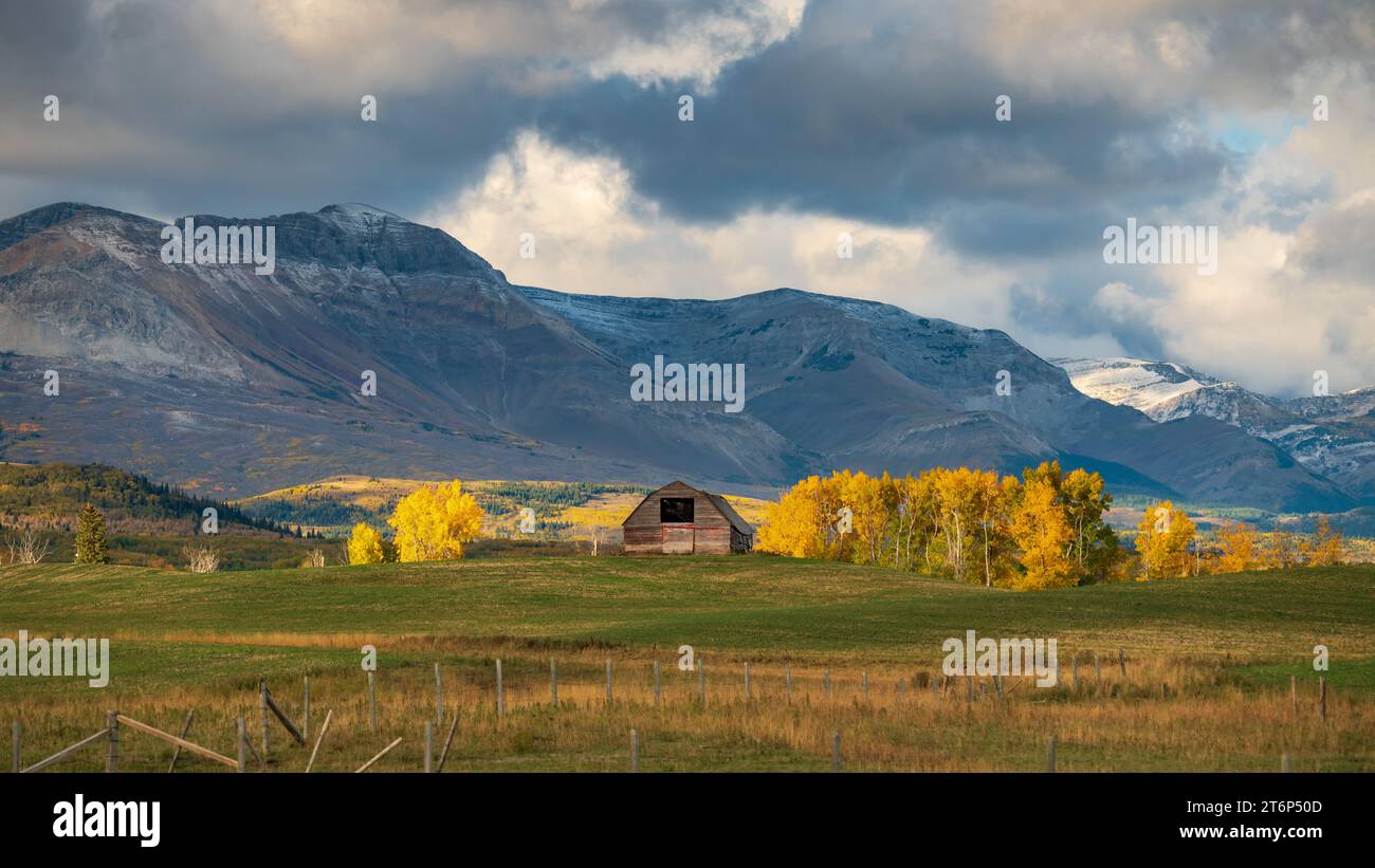 A farm barn and fall foliage color near Mountain View, Alberta, Canada. Stock Photo