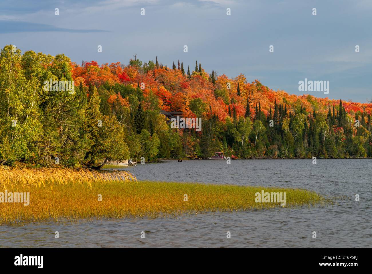 Fall foliage color in the forests above the north shore of Lake ...