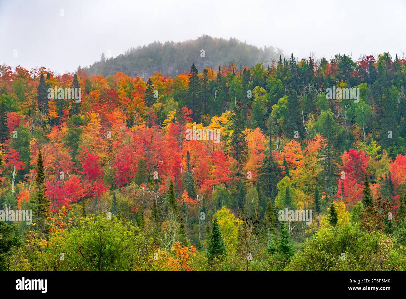 Fall foliage color in the forests above the north shore of Lake ...