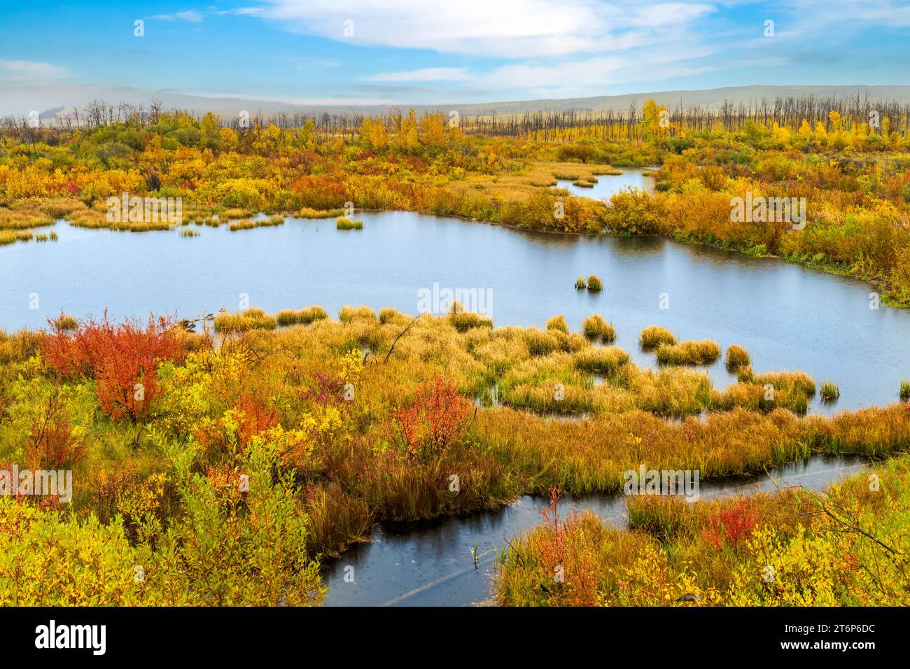 Fall foliage color in Waterton Lakes National Park, Alberta, Canada. Stock Photo