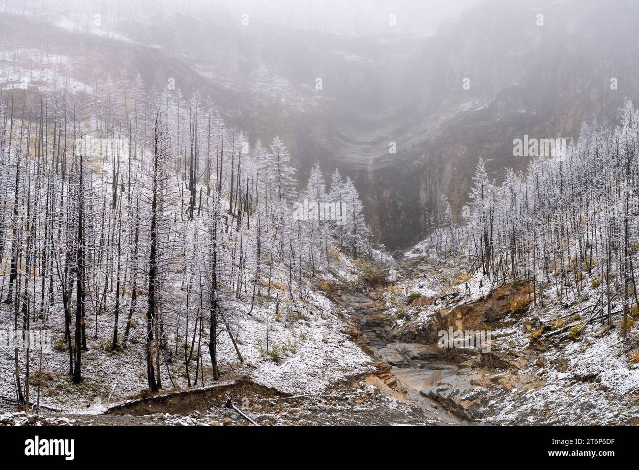 The first snowfall of the season in the higher elevations of Waterton Lakes National Park, Alberta, Canada. Stock Photo