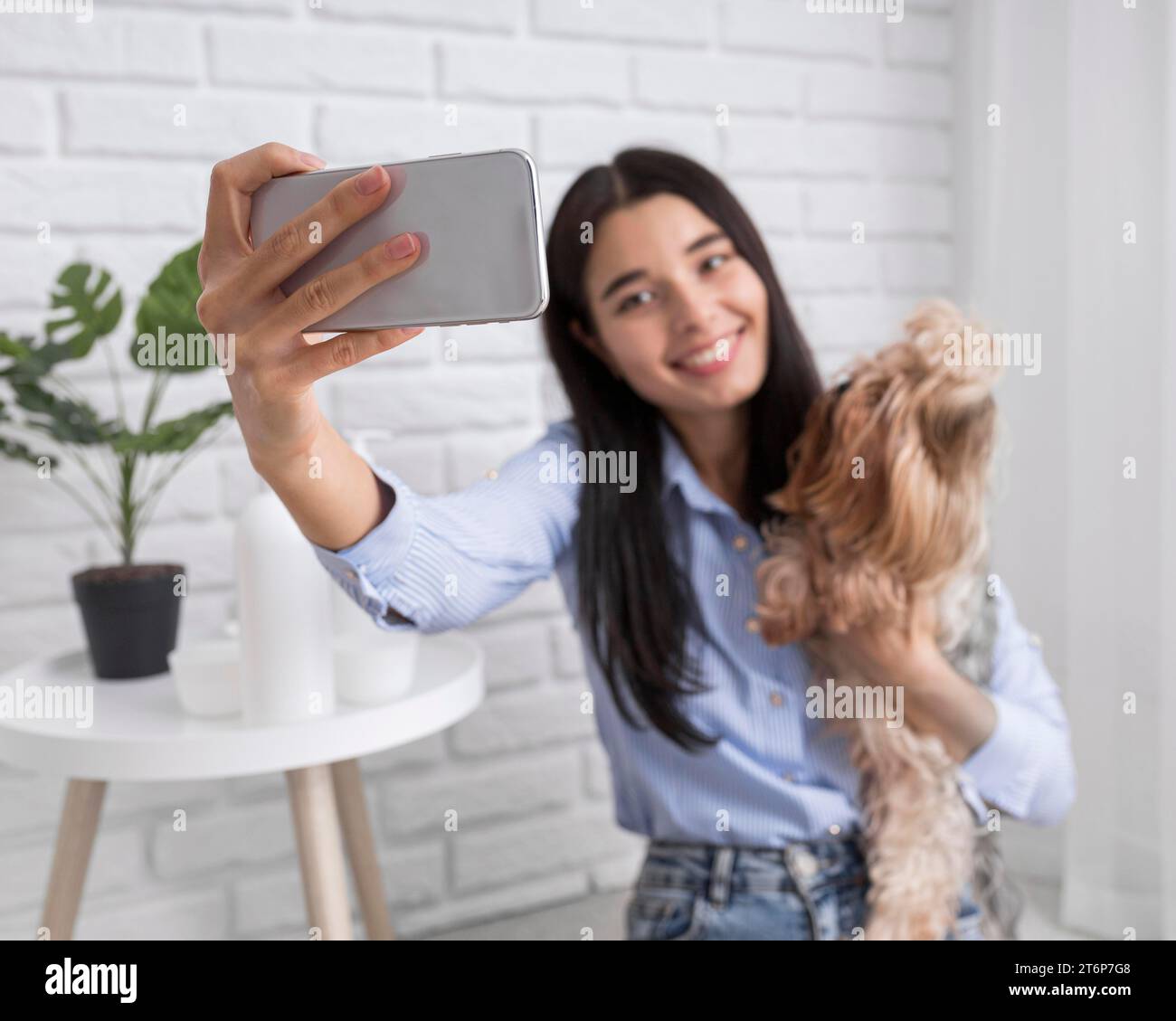 Female vlogger home with smartphone dog Stock Photo