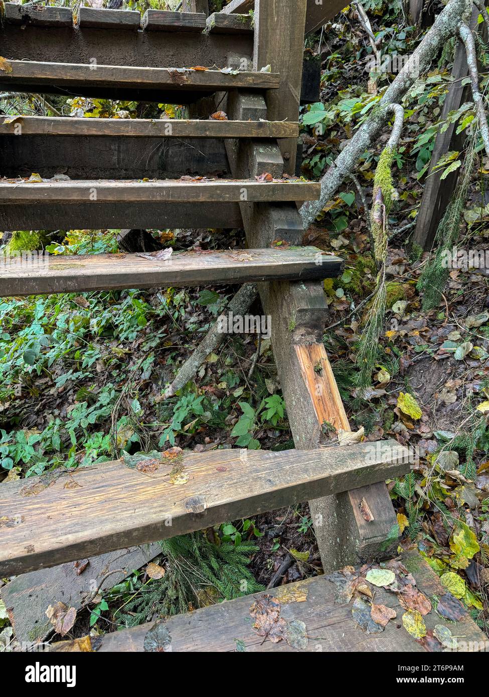 Steps Rotten Broken old rotten stairs. Walking trail in nature Stock Photo - Alamy