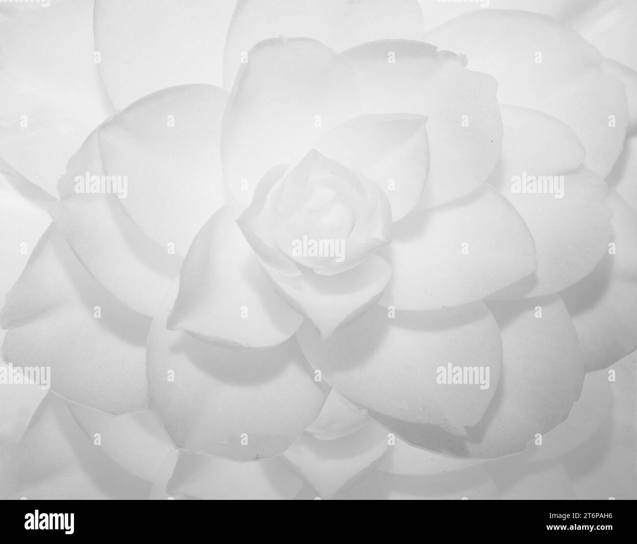 Simplist Black and White Stock Photos & Images Alamy