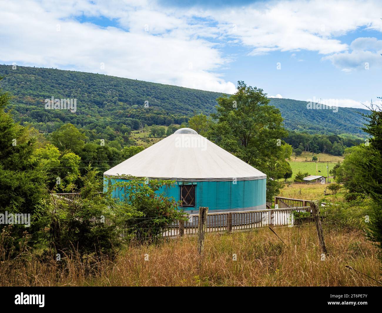 Immersive architecture forest hi-res stock photography and images - Alamy