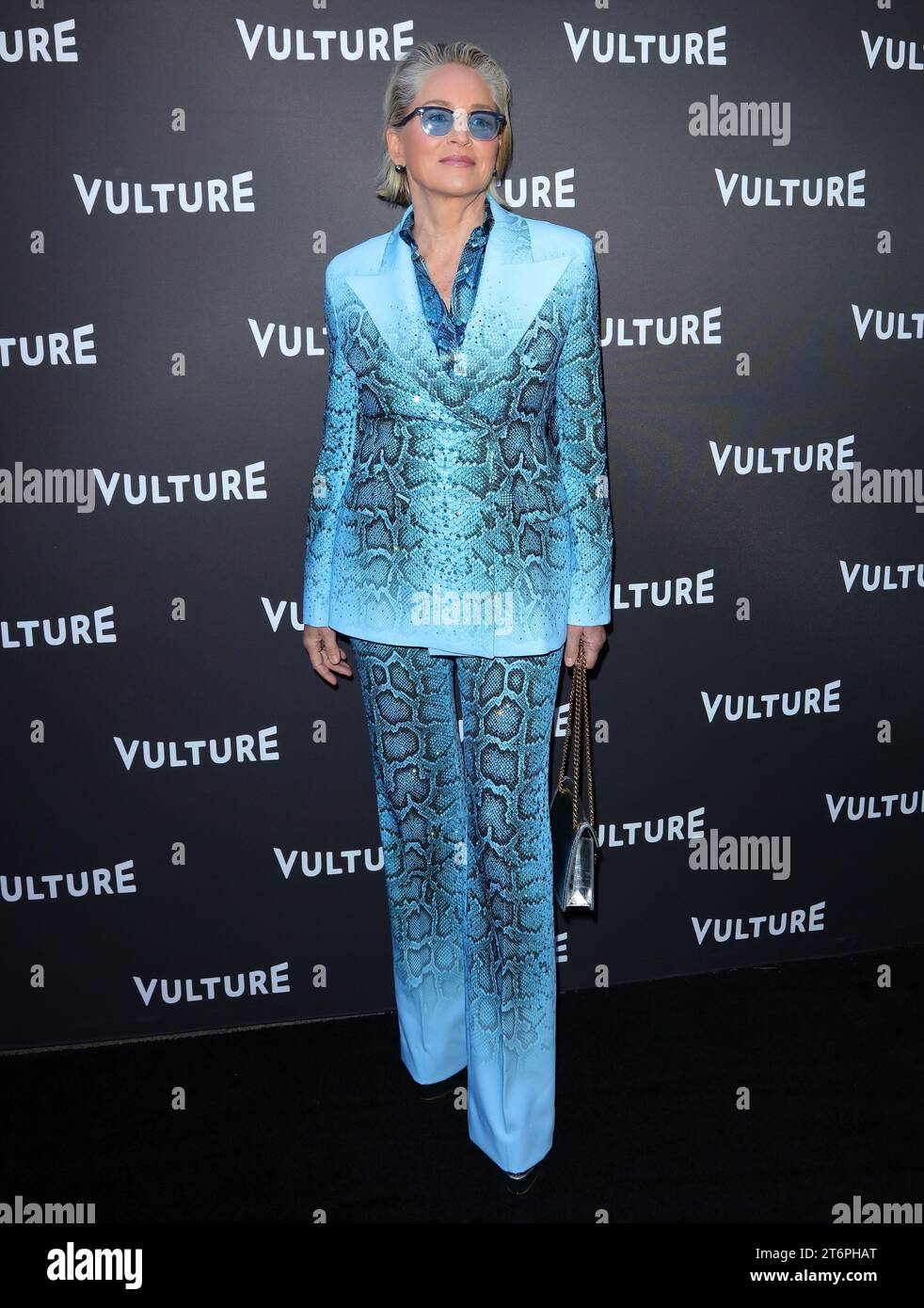Sharon Stone arrives at The Vulture Festival 2023, Sharon Stone And