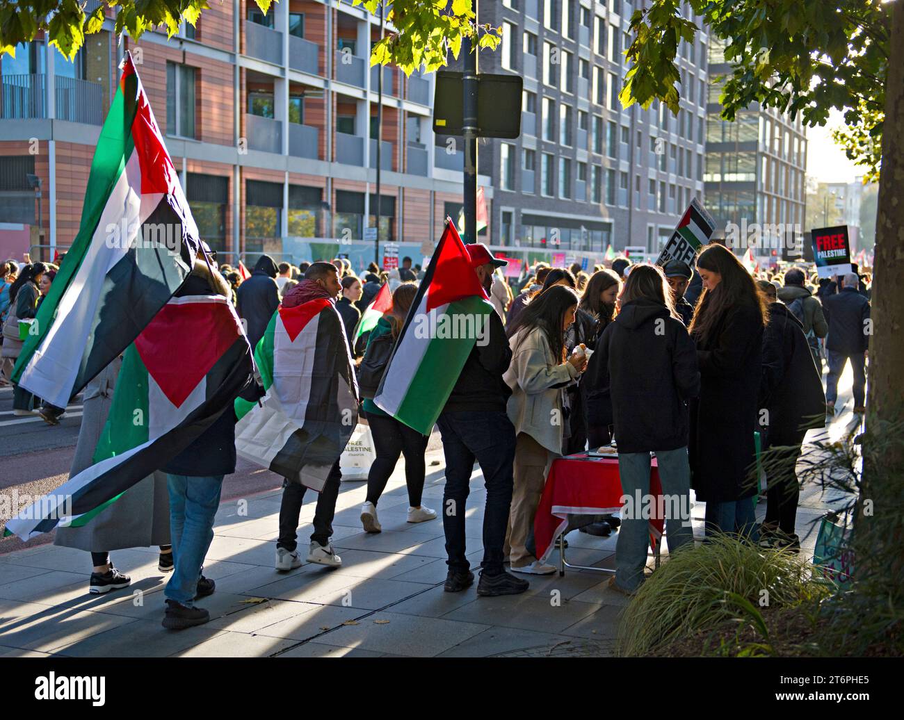 Participants in the November 11th protest march against the Israili military action in Palastine following the Hammas terror attack on Israel Stock Photo
