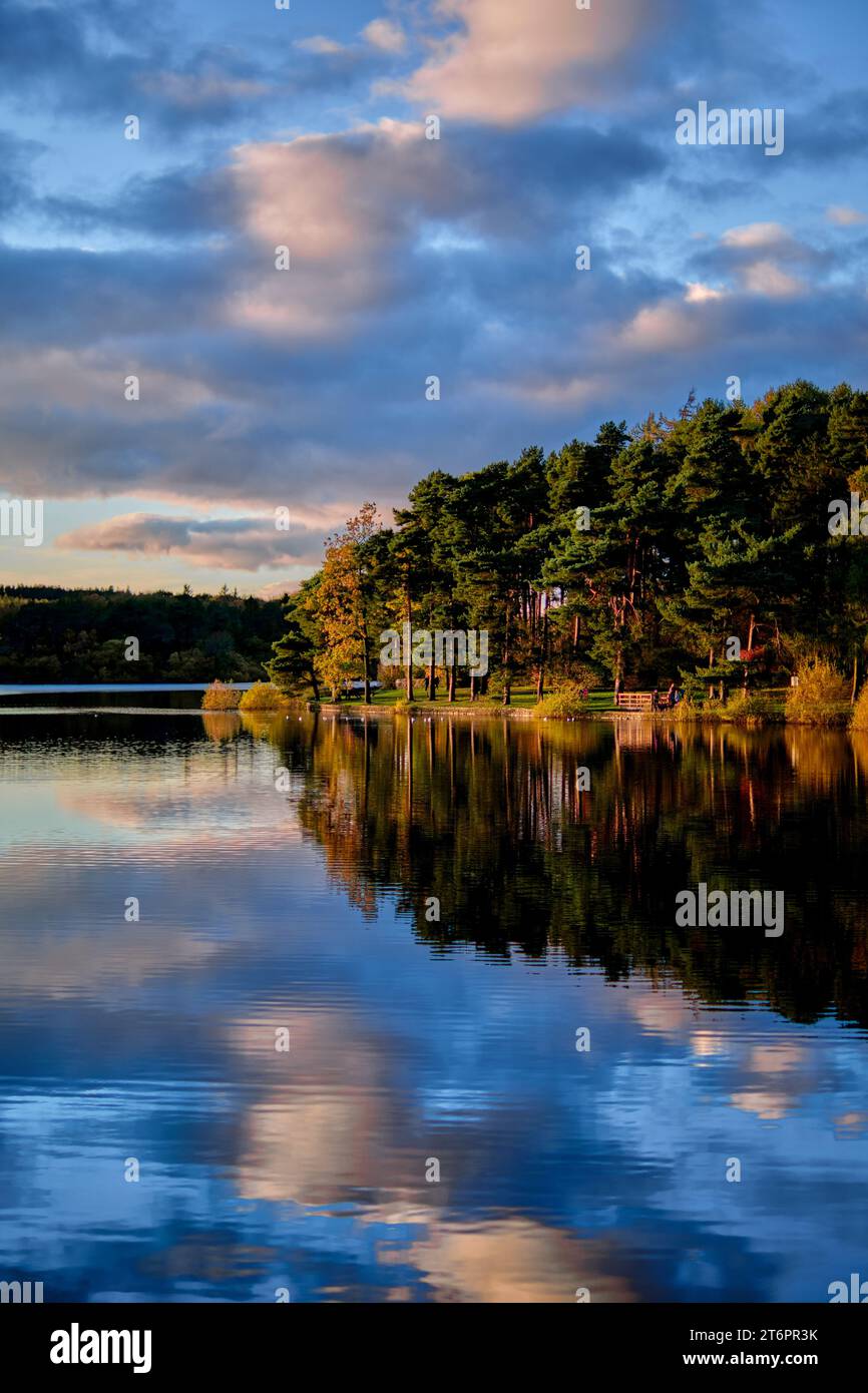 Stunning reflections of autumn leaves in the still waters of Swinsty Reservoir in North Yorkshire, UK. Stock Photo