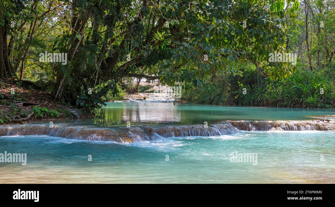 Agua Azul cascades with its turquoise waters of the Usumacinta river near Palenque, Chiapas, Mexico. Stock Photo