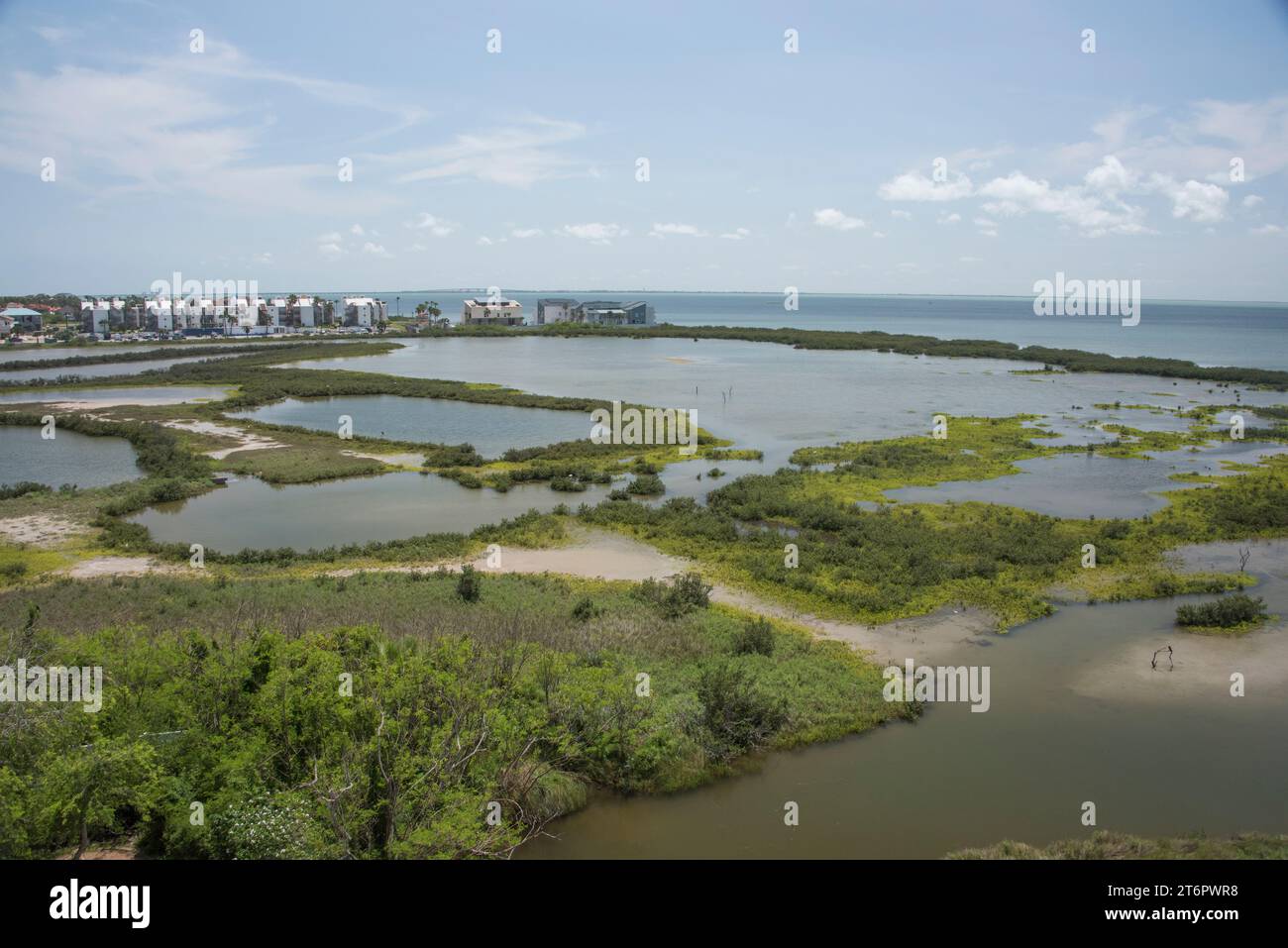 Habitat and boardwalk nature trail at the Birding Center on South Padre Island, Texas, USA Stock Photo