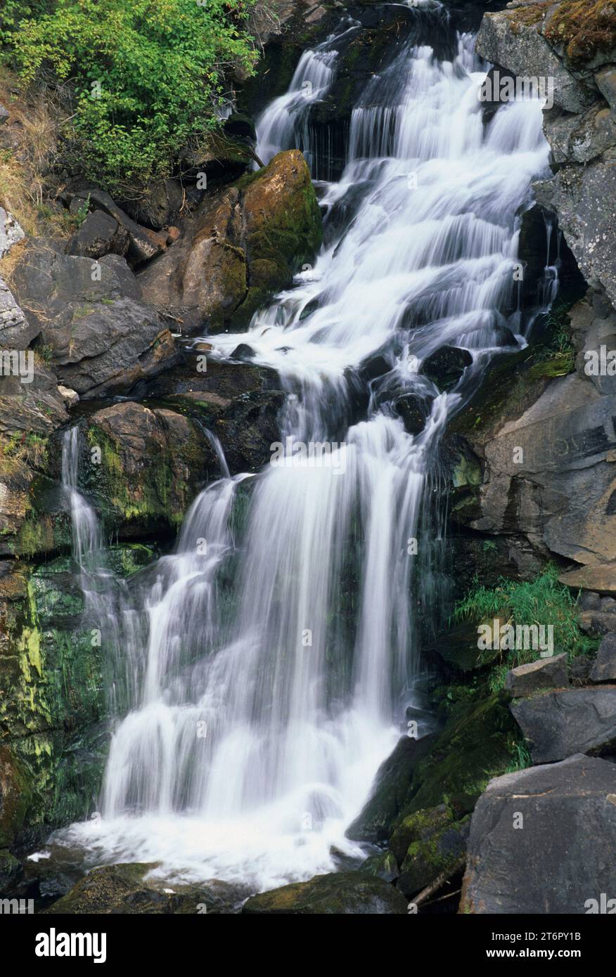 Crystal Falls, Crystal Falls State Park, Washington Stock Photo Alamy