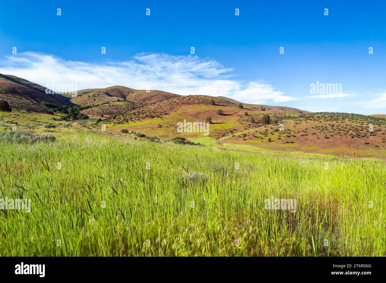 The grasslands and rolling hills of Tygh Valley in Oregon, USA Stock