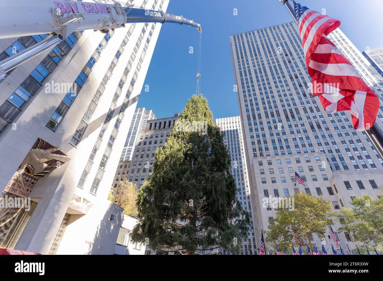 The Rockefeller Center Christmas Tree arrived on the Rockefeller Plaza