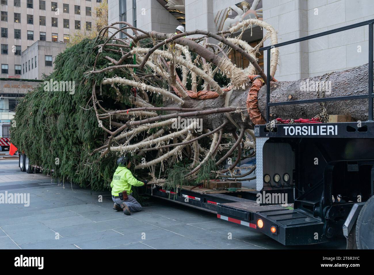 The Rockefeller Center Christmas Tree arrived on the Rockefeller Plaza