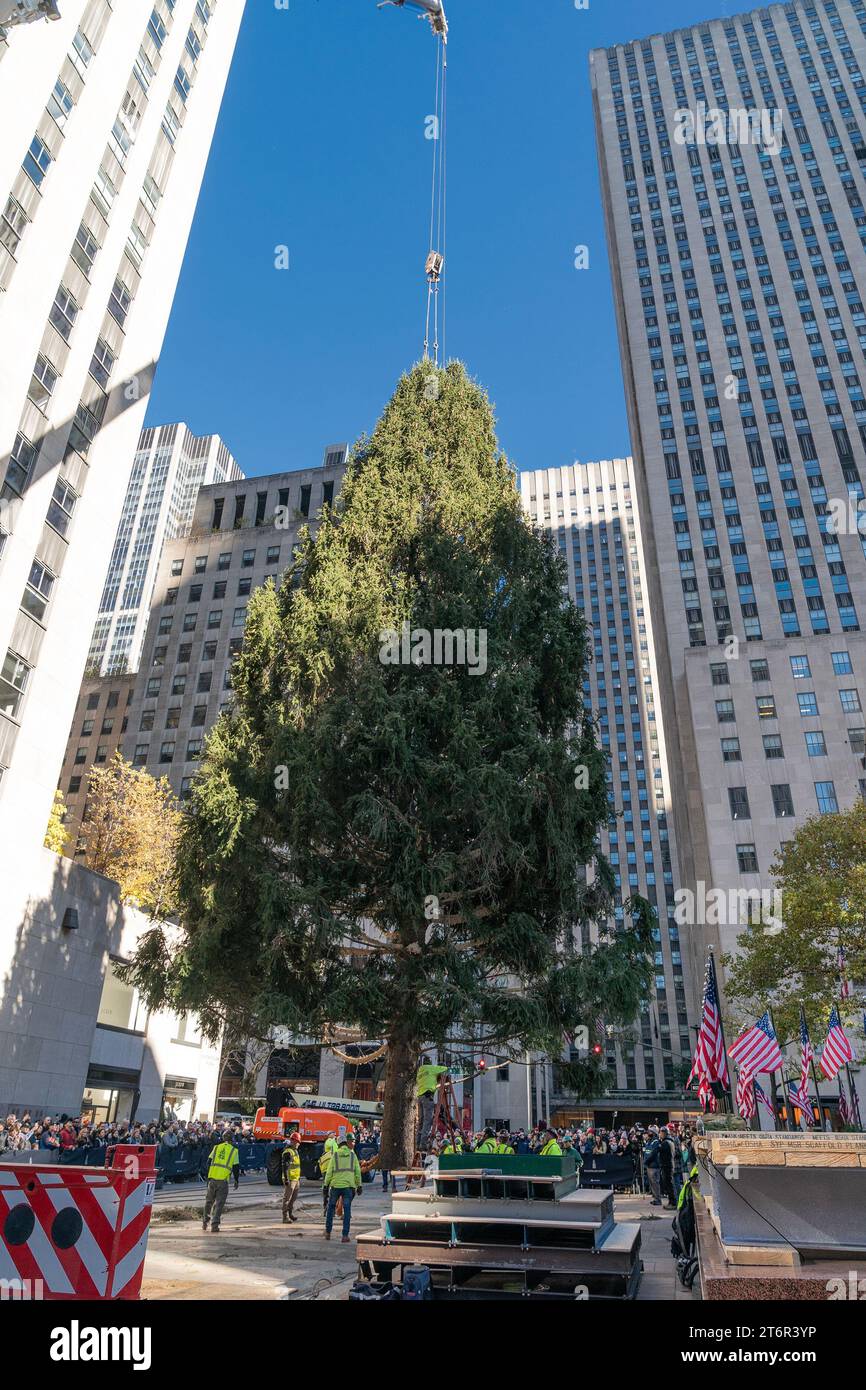 The Rockefeller Center Christmas Tree arrived on the Rockefeller Plaza