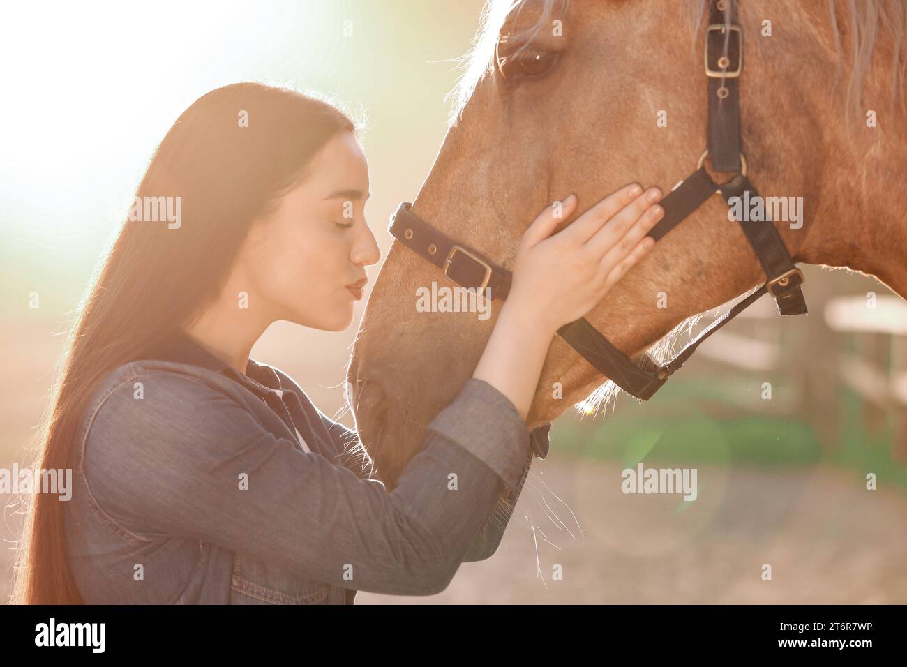 Kissing horse hi-res stock photography and images - Page 7 - Alamy