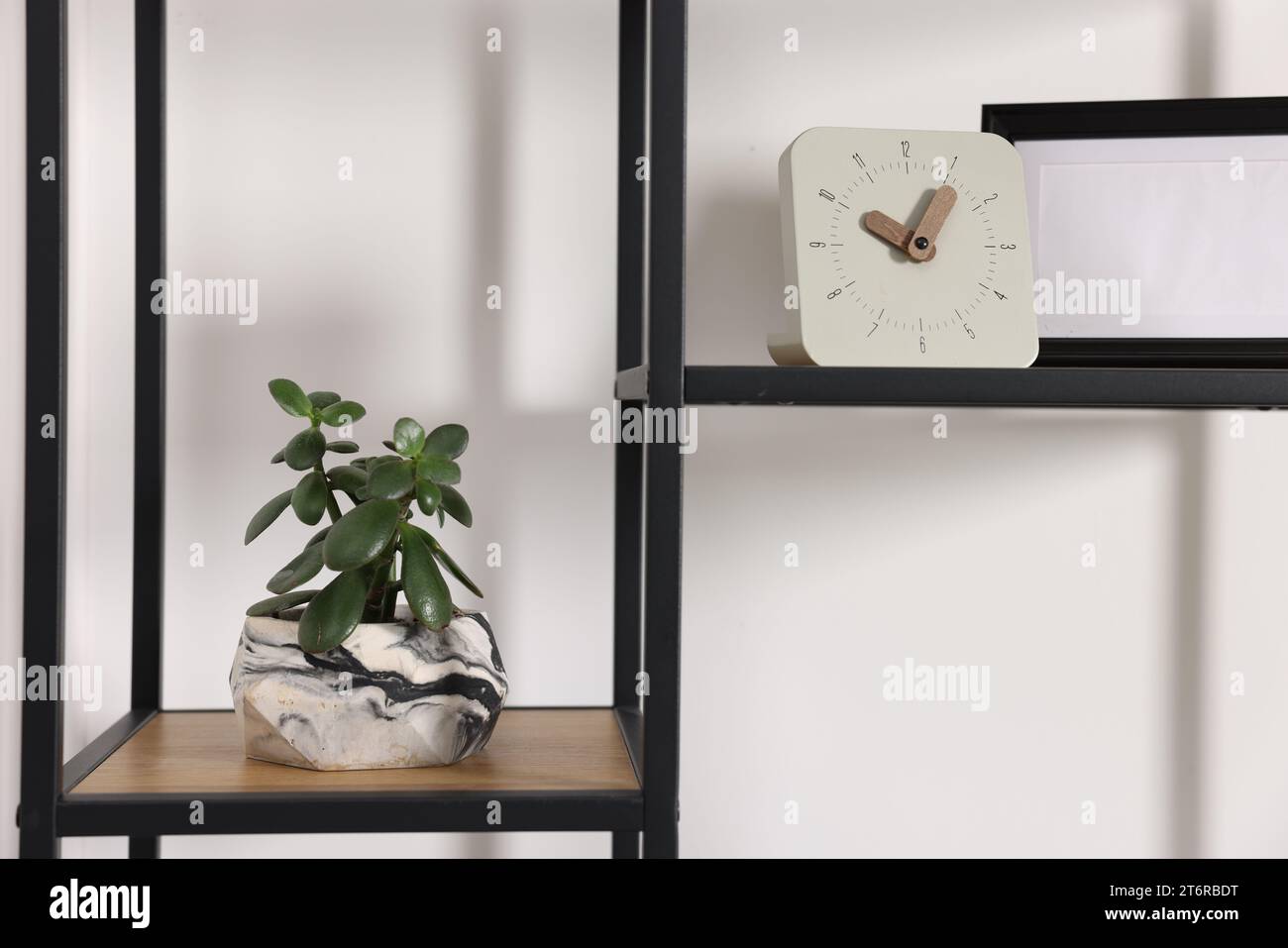 Potted jade plant and clock on shelving unit near white wall Stock
