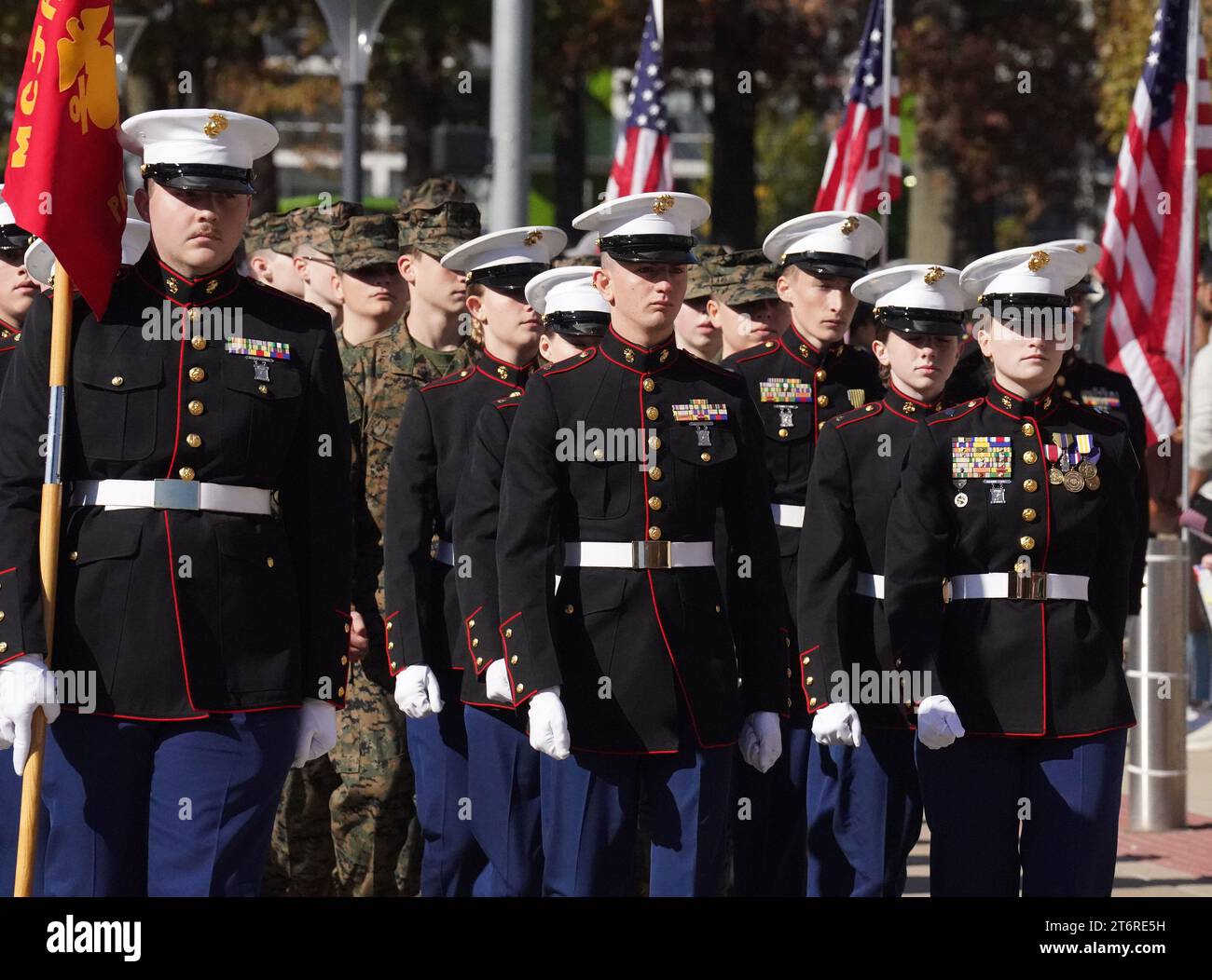 Middle school veterans day lesson plan