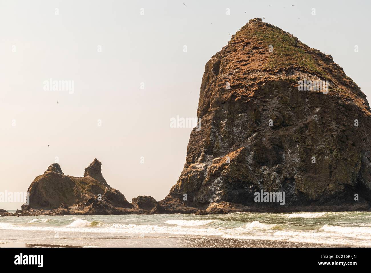 Haystack Rock, a designated bird sanctuary, rises out of the Pacific Ocean at crowded Cannon Beach, Oregon, on a summer day with pale clear skies. Stock Photo