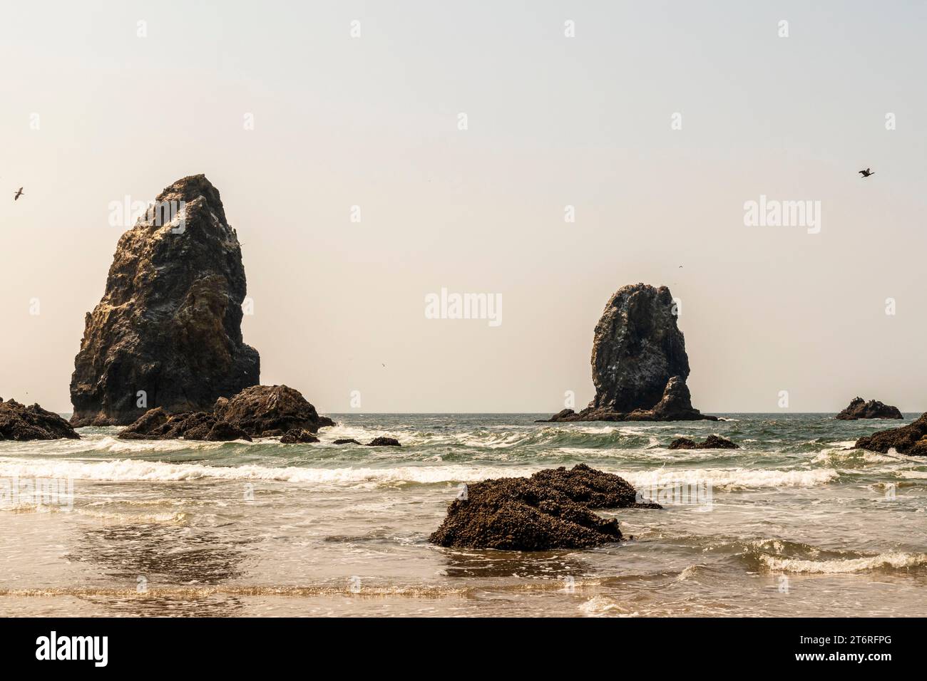 Horizontal image of dramatice sea stacks that rise out of the Pacific Ocean at Cannon Beach, Oregon, on a summer day with pale clear skies. Stock Photo