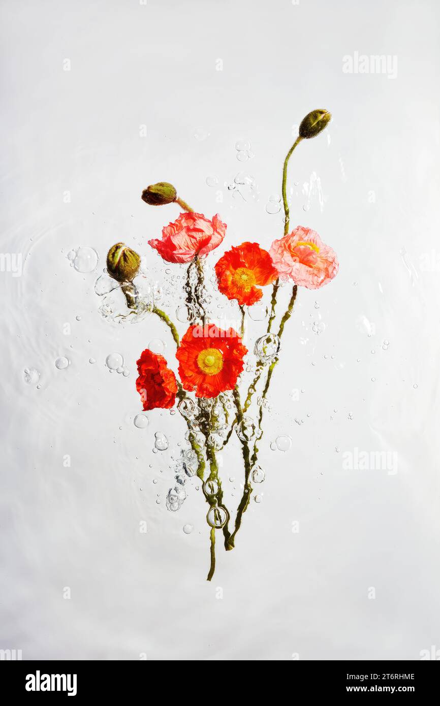 Awareness hi res hi-res stock photography and images - Alamy