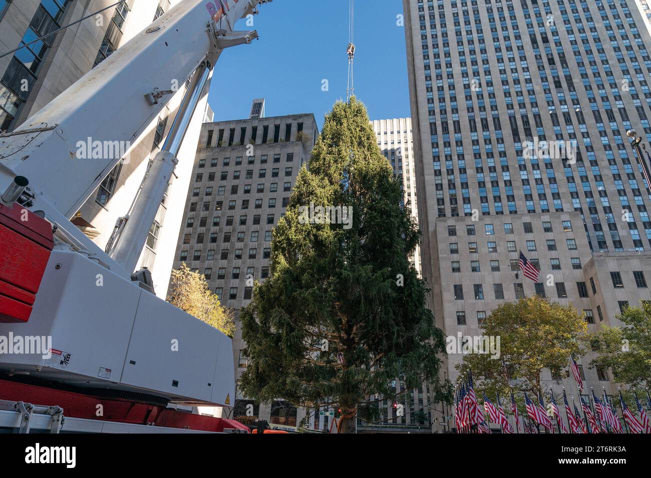 The Rockefeller Center Christmas Tree arrived on the Rockefeller Plaza