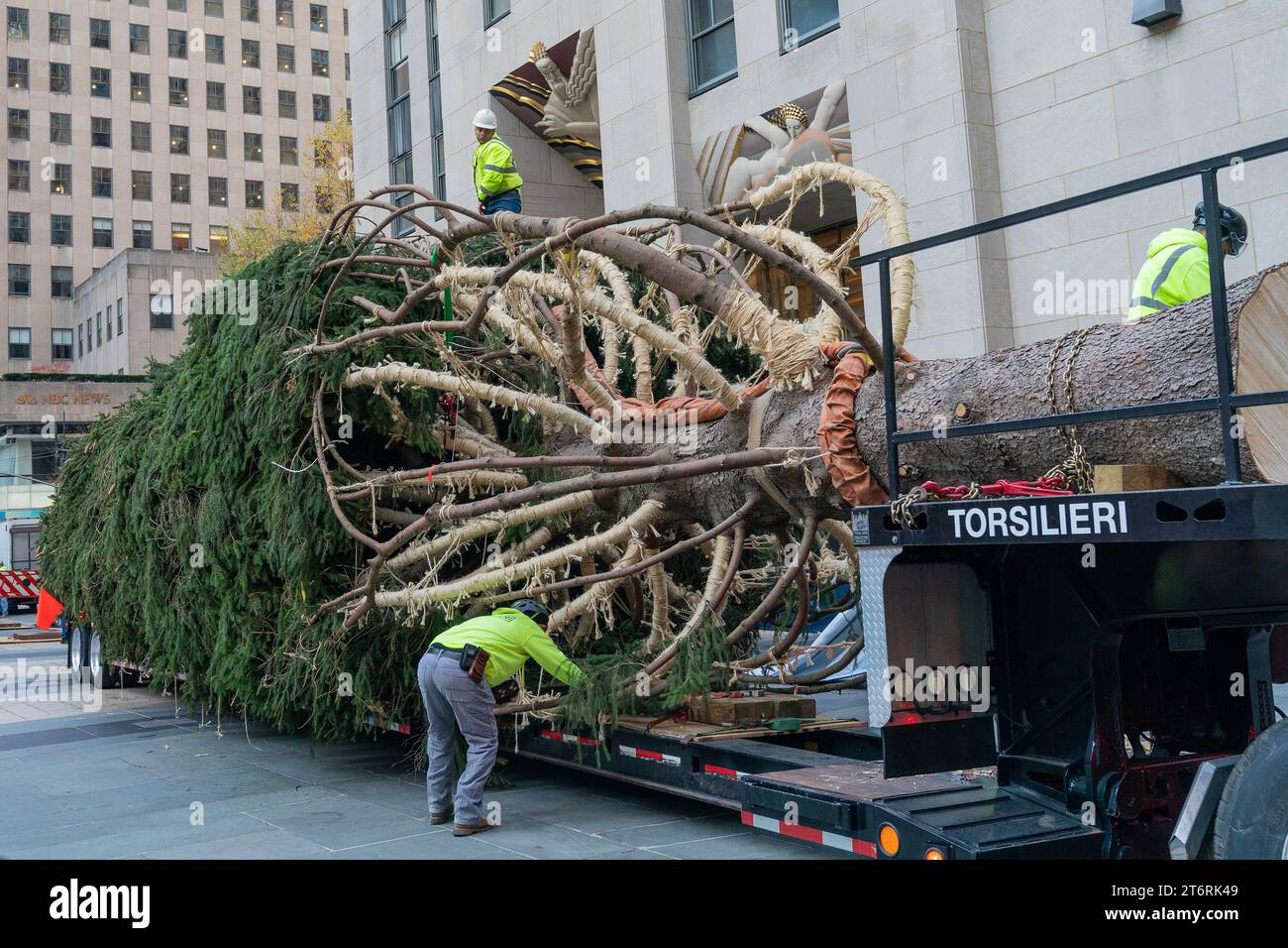 The Rockefeller Center Christmas Tree arrived on the Rockefeller Plaza