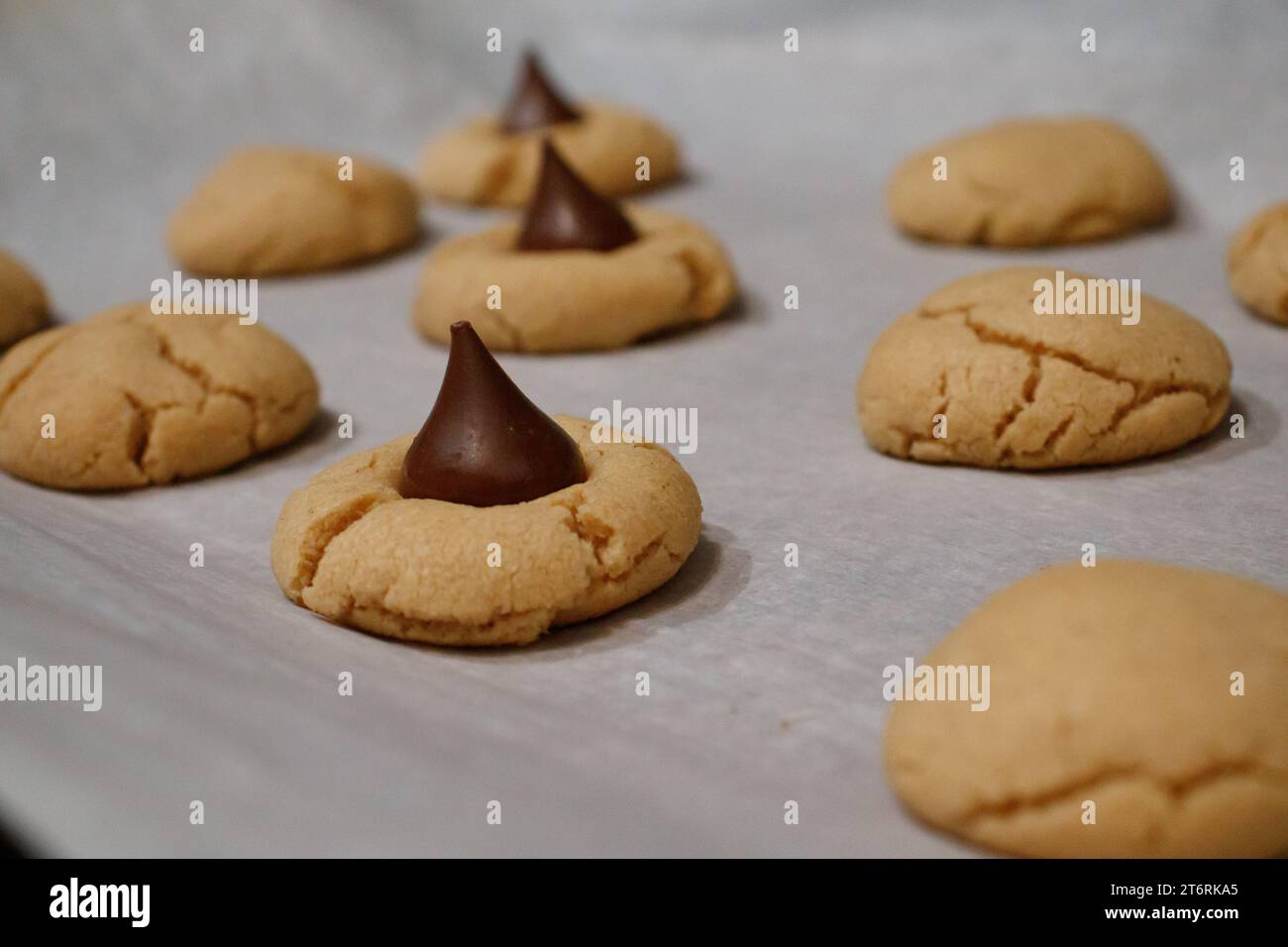 Three rows of freshly baked peanut butter blossom cookies, half of which have chocolate on top. Stock Photo