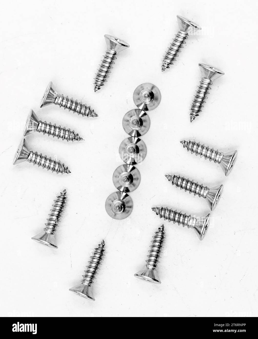 Wood screws arranged on white background Stock Photo Alamy