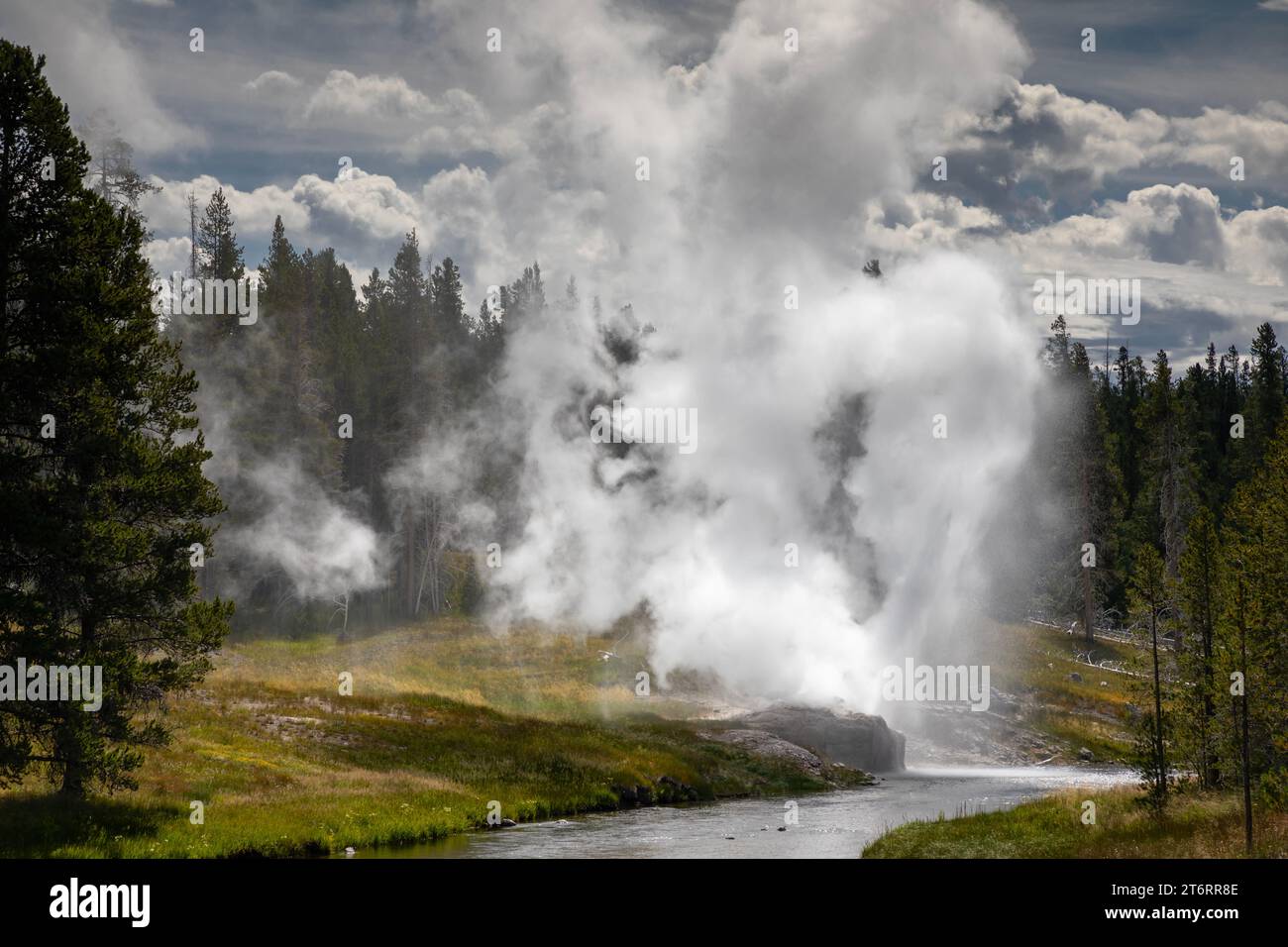 WY05790-00...WYOMING - Eruption of Riverside Geyser on the edge of the Firehole River in the Upper Geyser Basin of Yellowstone National Park. Stock Photo