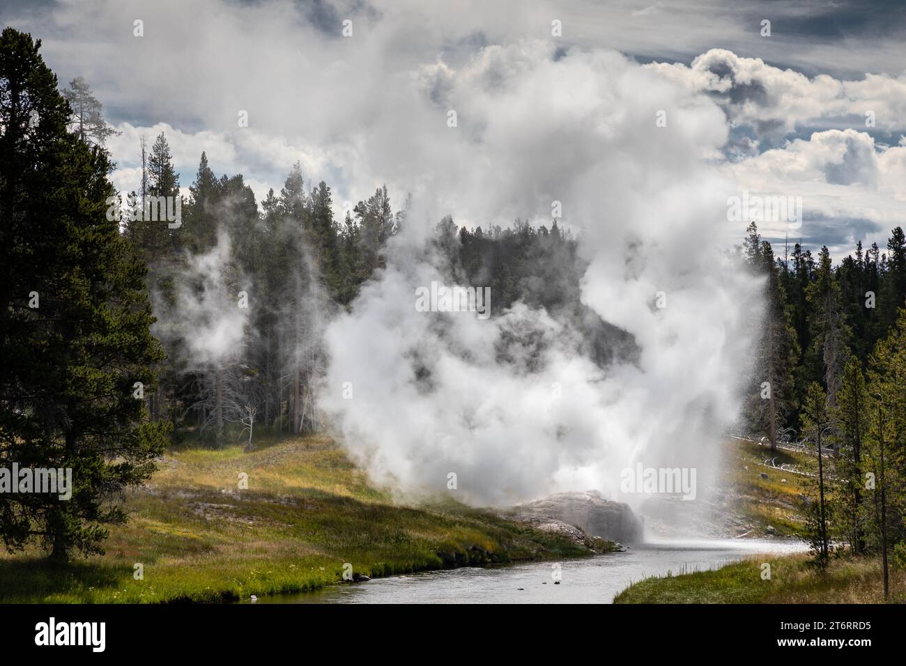 WY05792-00...WYOMING - Eruption of Riverside Geyser on the edge of the Firehole River in the Upper Geyser Basin of Yellowstone National Park. Stock Photo