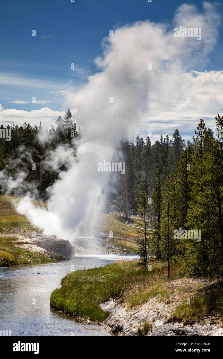 WY05798-00...WYOMING - Riverside Geyser on the Firehole River in the Upper Geyser Basin of Yellowstone National Park. Stock Photo