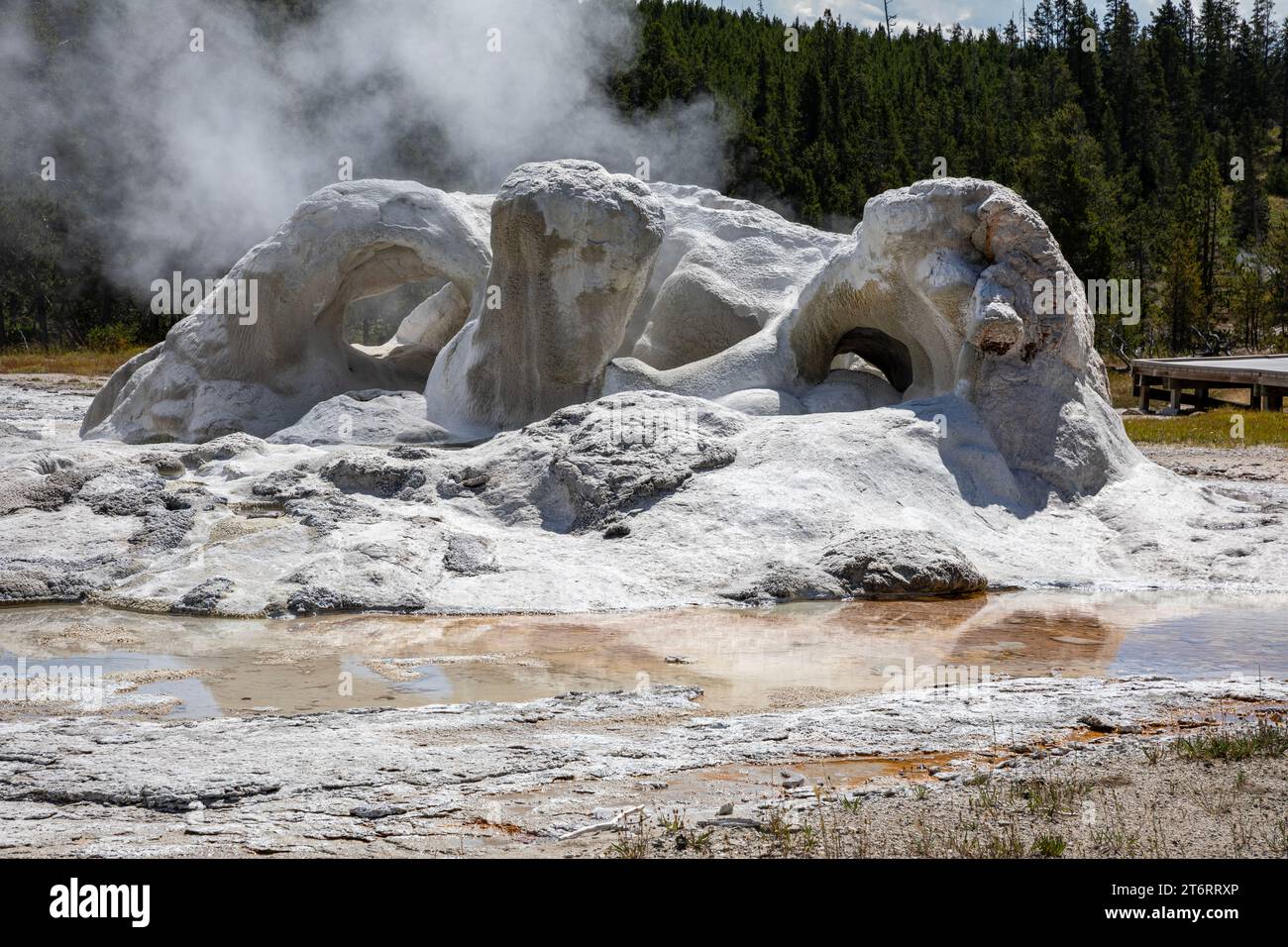 WY05800-00...WYOMING - Grotto Geyser in the Upper Geyser Basin of Yellowstone National Park. Stock Photo
