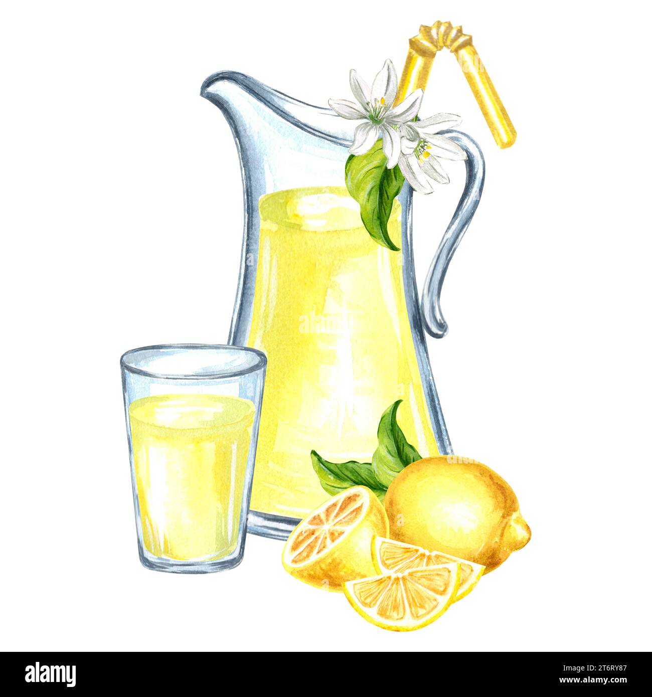 https://c8.alamy.com/comp/2T6RY87/composition-of-jug-and-glass-with-lemonade-lemon-and-flowers-watercolor-hand-drawn-illustration-isolated-on-a-white-background-for-design-stickers-2T6RY87.jpg
