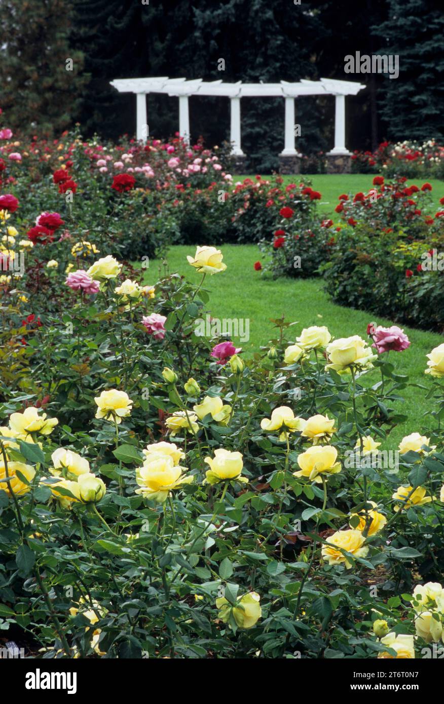 Rose hill garden manito park hires stock photography and images Alamy