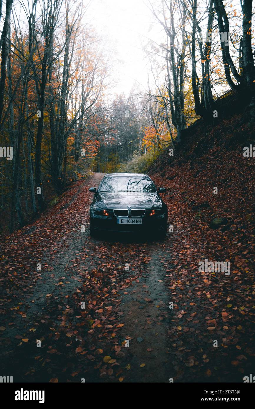 Bulgaria - 11,12,2023: Wide angle shot of a beautiful car in the middle of the road in the forest. Stock Photo