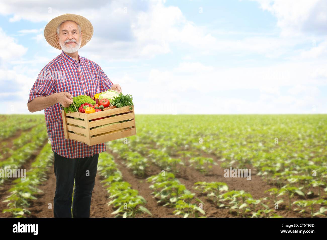 Harvesting season. Farmer holding wooden crate with crop in field Stock ...