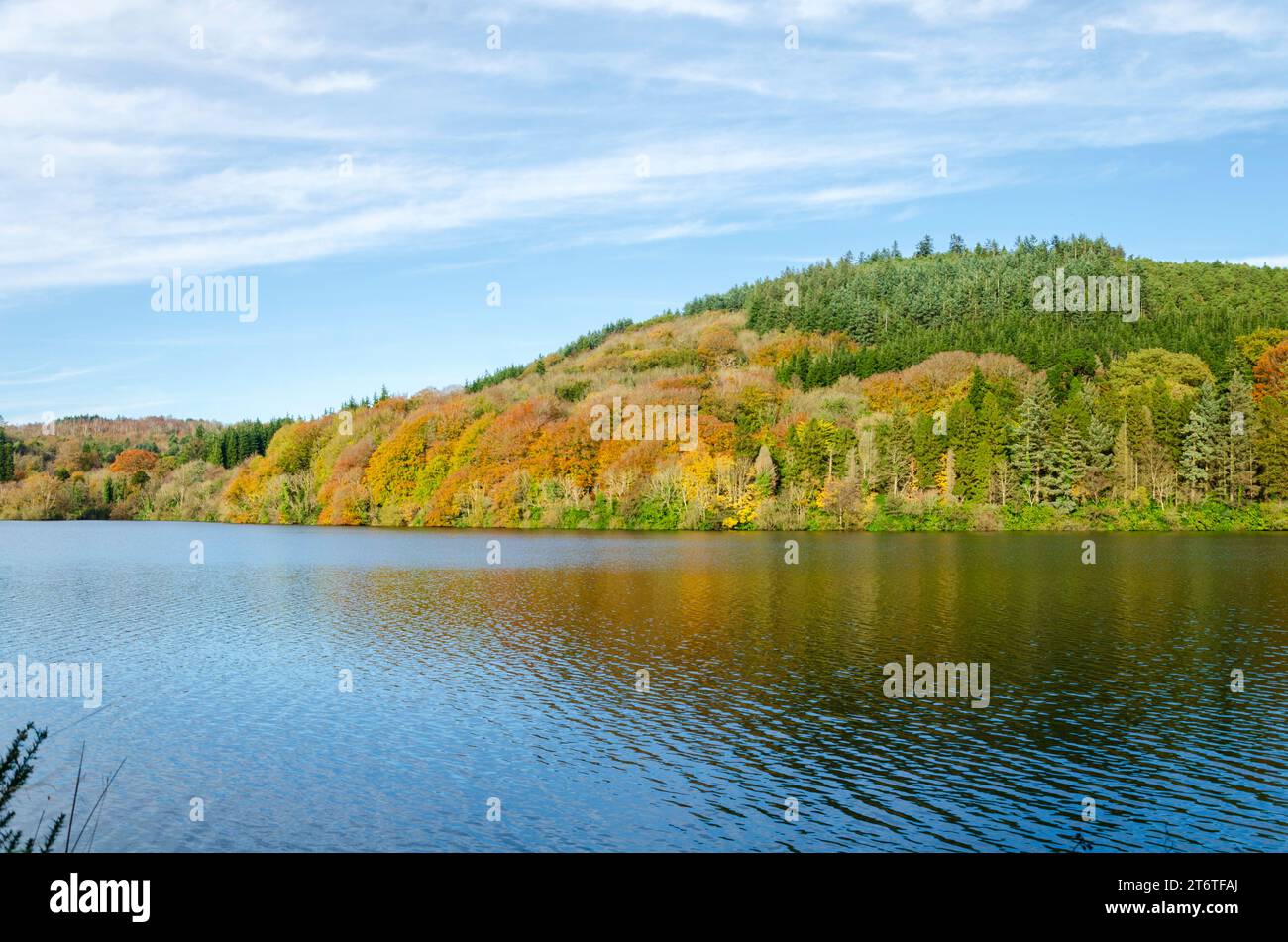 Castlewellan, County Down, Northern Ireland, tree-lined lake with Autumn colours, ideal for hiking, cycling, kayaking and family picnics Stock Photo
