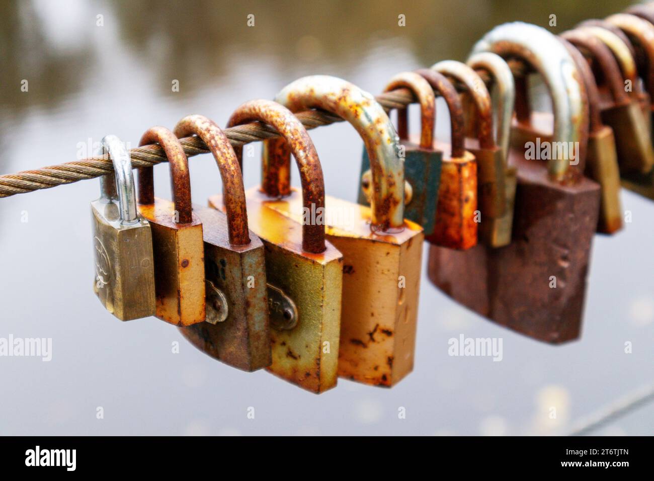 A string of many keys attached to a metal rope with a brown aqua