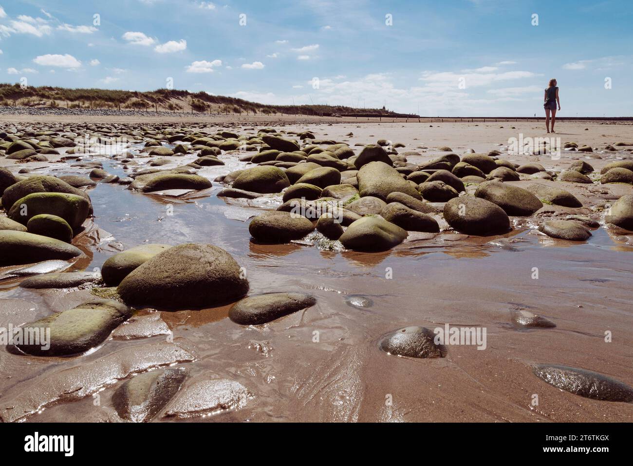 A woman enjoys a walk on the beach past some large round rocks in the sand in Abersoch in West Wales in the UK Stock Photo