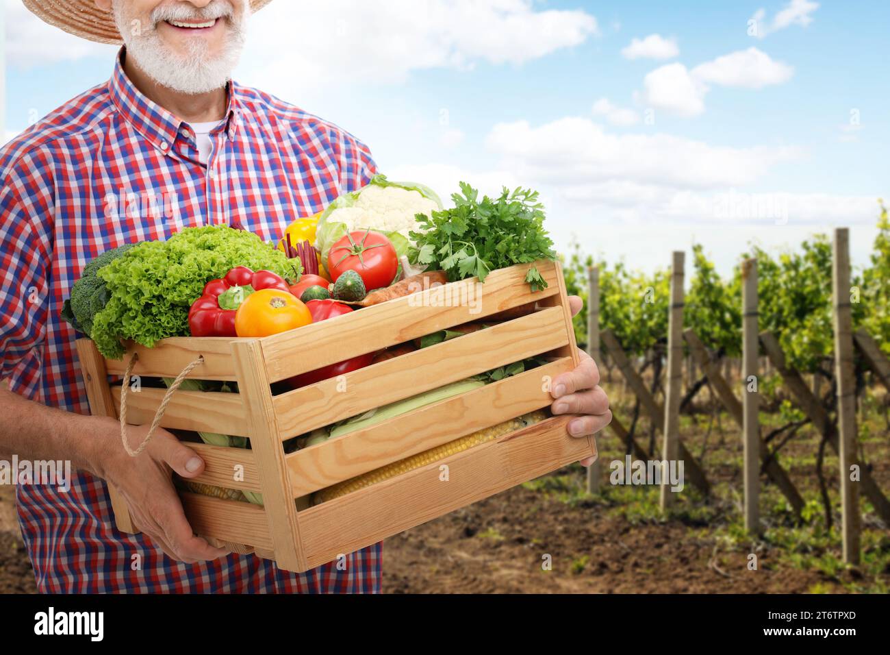 Harvesting season. Farmer holding wooden crate with crop in field ...