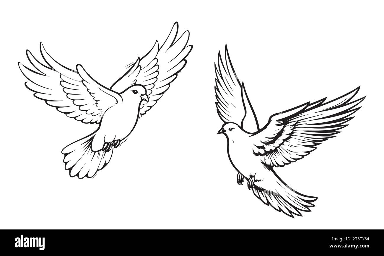 Pair of pigeons sketch hand drawn Vector illustration Wild Birds Stock