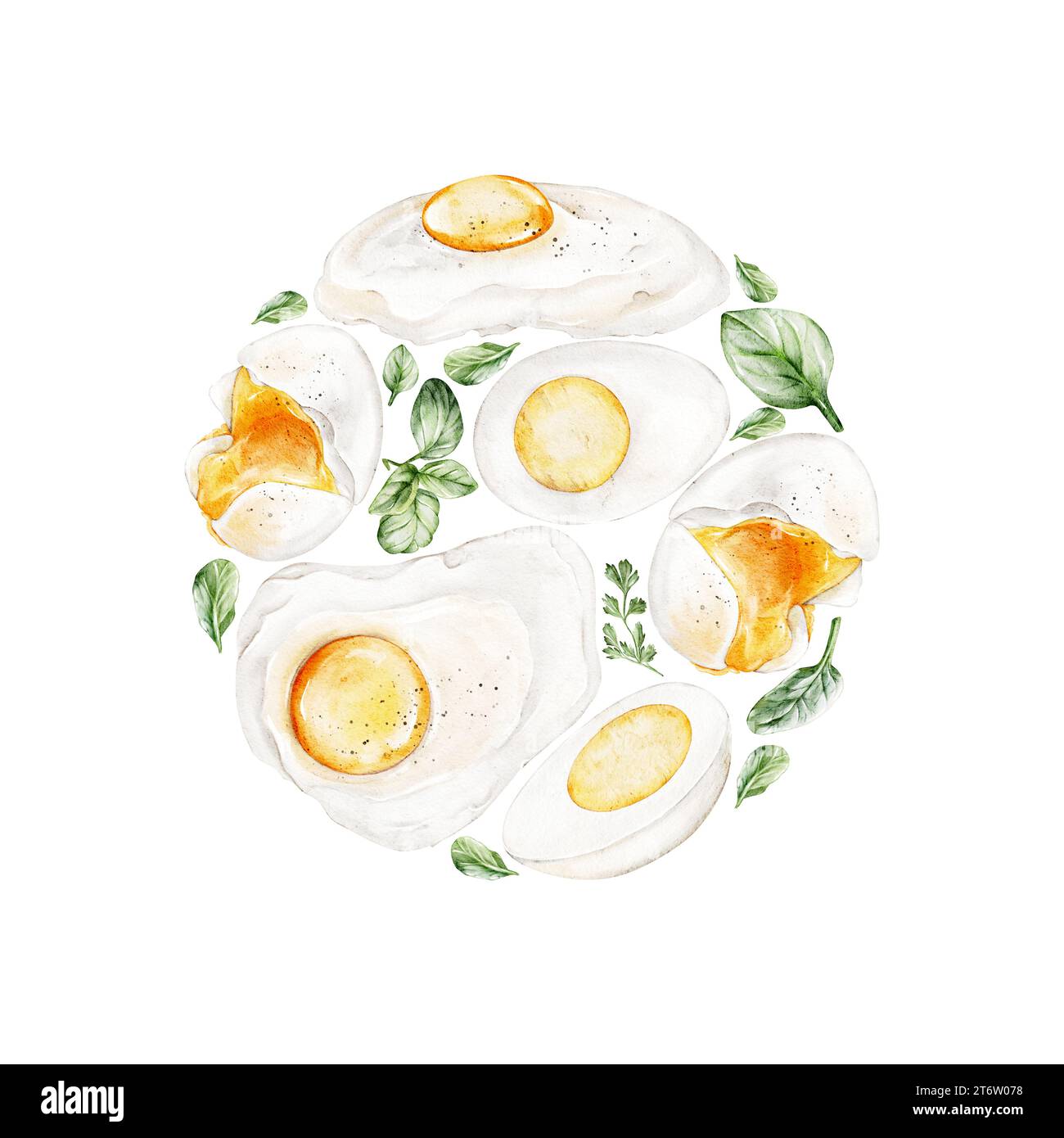 Round label with eggs and green herbs. Watercolor hand-drawn illustration. For the icons, design of signage, logo, healthy brand labels, packaging, ba Stock Photo