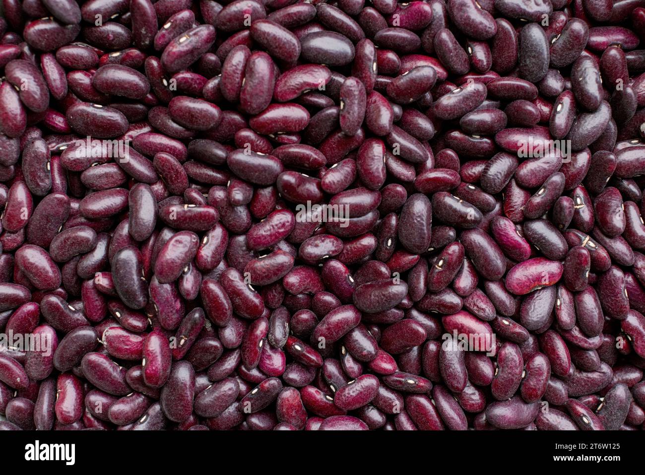 A pile of assorted beans in a variety of colors, scattered across the surface in a disorganized fashion Stock Photo