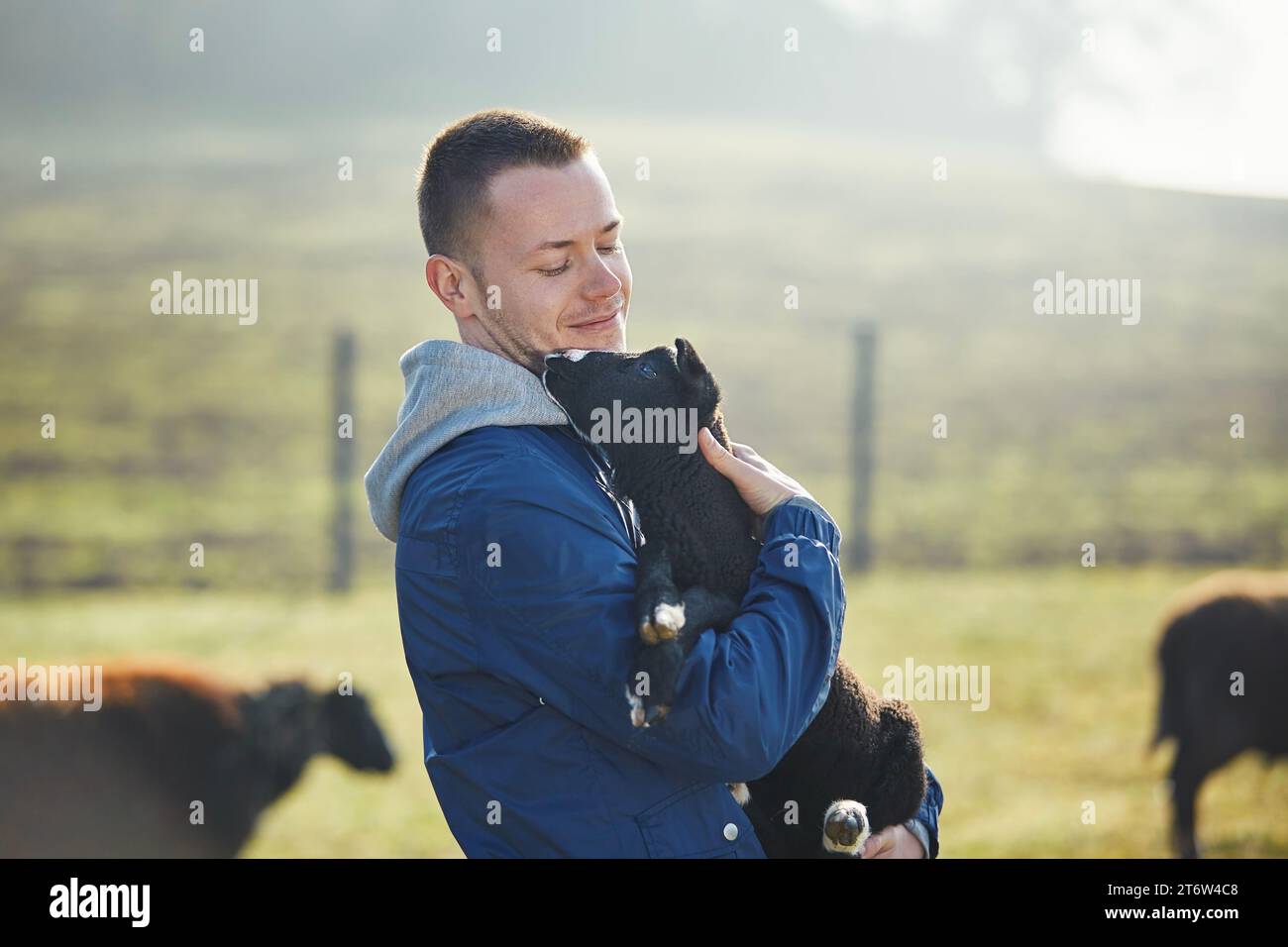 Man holding lamb in herd of sheep. Portrait of farmer in organic farm in countryside. Themes sustainable agriculture, ecology and animal care. Stock Photo