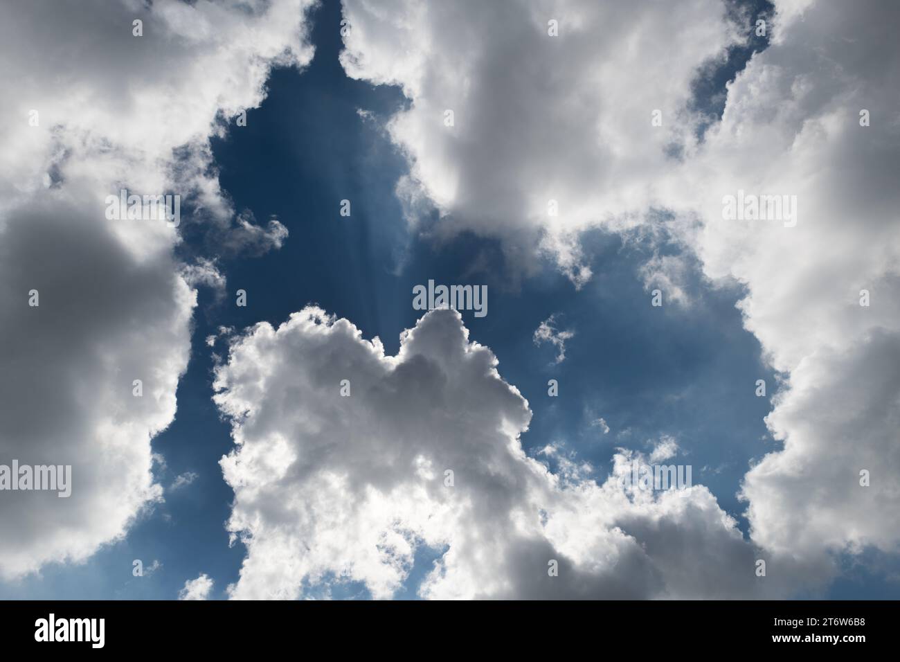 Detail of a white, puffy, cotton-like cumulus cloud formation set against a background of bright, blue sky during fair weather. Stock Photo