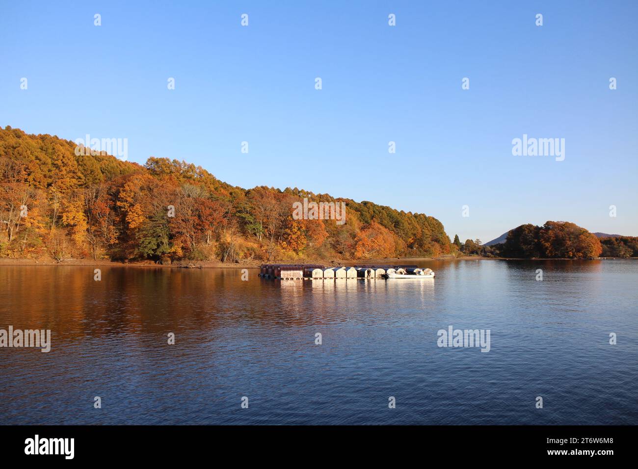 Autumn scenery of Lake Hibara and mountains with autumn leaves in ...